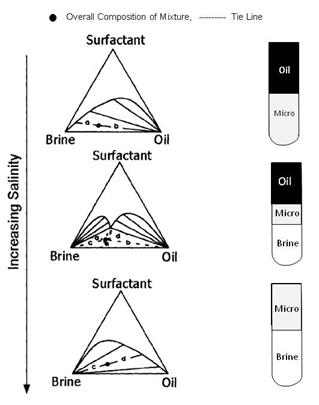 Surfactant Phase Behavior